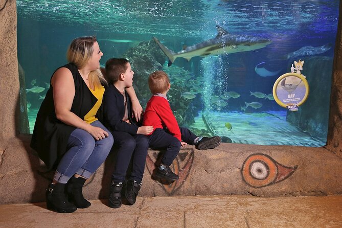 SEA LIFE Blackpool Admission Ticket - The Ocean Tank and Shark Collection
