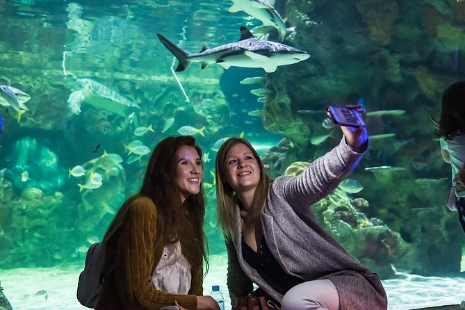SEA LIFE Brighton Admission Ticket - The Victorian auditorium and its giant ocean tank