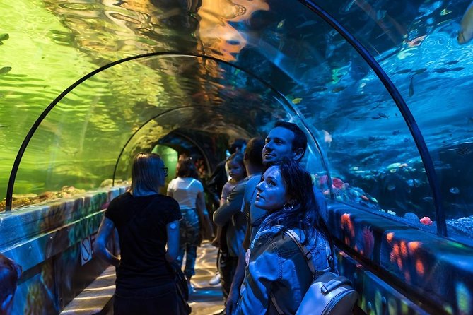 SEA LIFE Brighton Admission Ticket - Walking beneath the sharks and green sea turtles