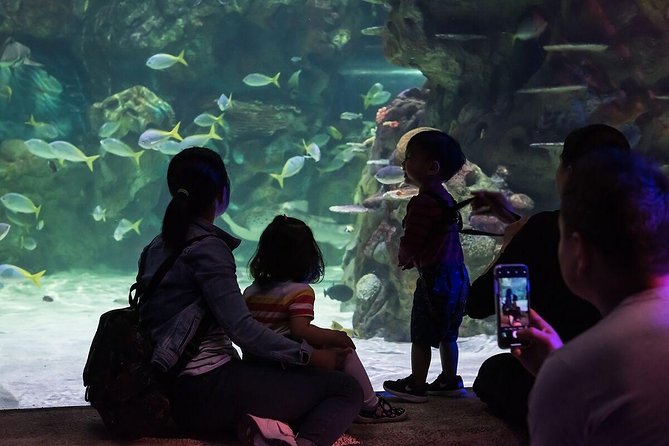 SEA LIFE Brighton Admission Ticket - Seahorses, breeding work, and smaller details