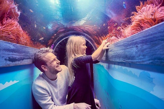 SEA LIFE Brighton Admission Ticket - Secrets of the Reef and the Maldives connection
