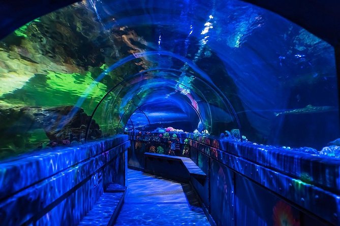 SEA LIFE Brighton Admission Ticket - How long to allow and how to plan the visit