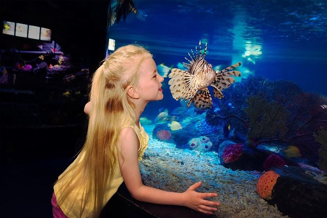 SEA LIFE Great Yarmouth General Admission - What the SEA LIFE Great Yarmouth visit is like