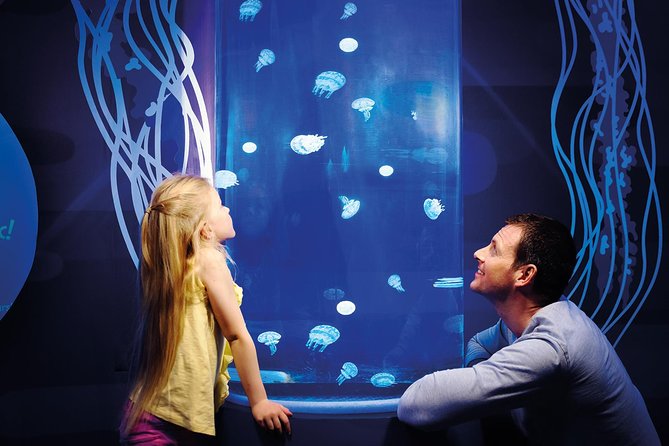 SEA LIFE Great Yarmouth General Admission - The 250,000-litre Tropical Ocean Display