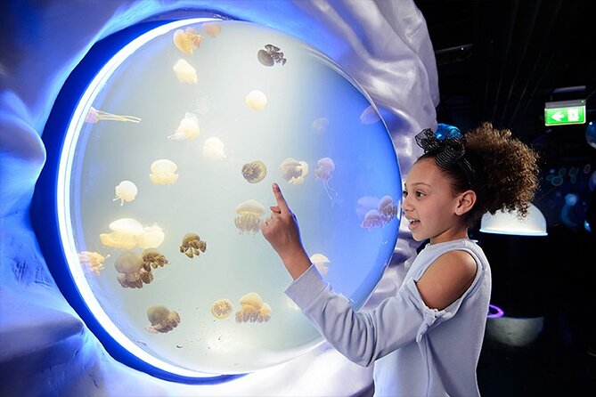SEA LIFE London Aquarium Admission Ticket - Key points to know before you go