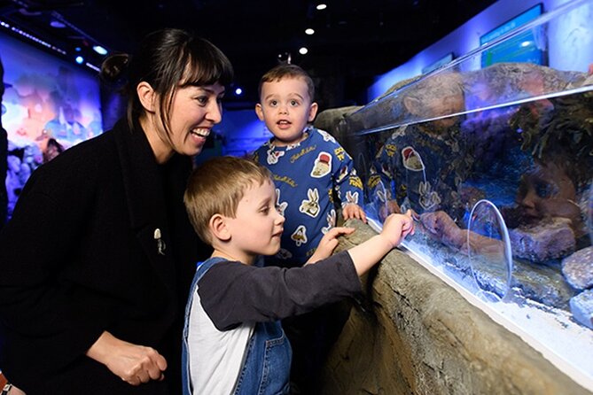 SEA LIFE London Aquarium Admission Ticket - The Atlantic Ocean route begins underground