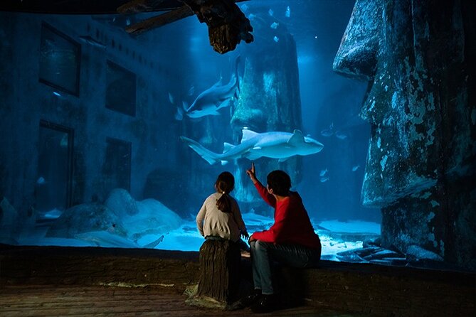SEA LIFE London Aquarium Admission Ticket - Rainforest Adventure adds a different kind of creature