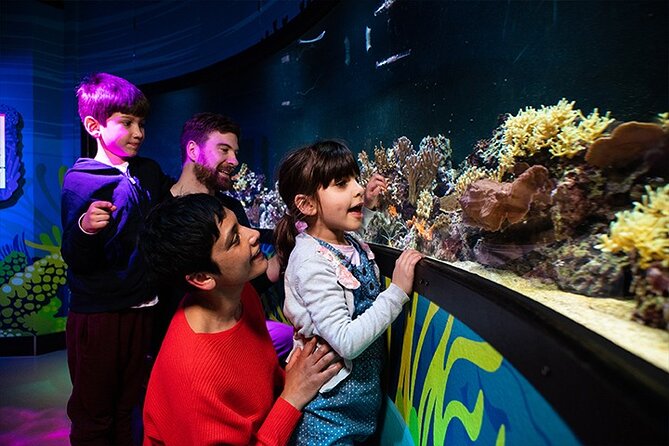 SEA LIFE London Aquarium Admission Ticket - Is $38.48 good value?