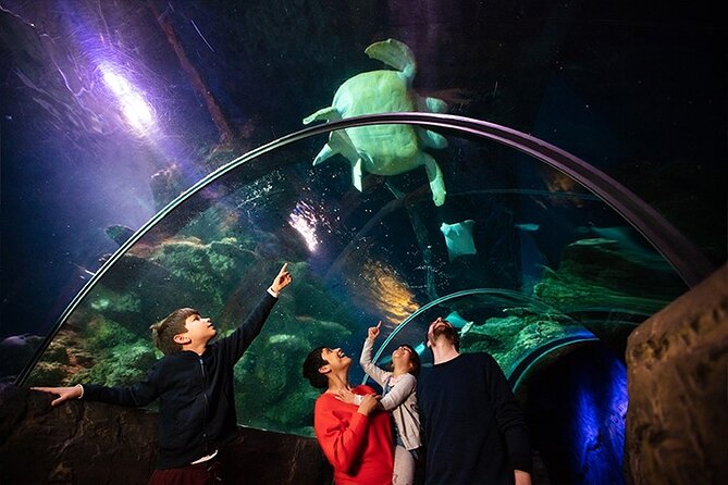 SEA LIFE London Aquarium Admission Ticket - Who will enjoy SEA LIFE London most?