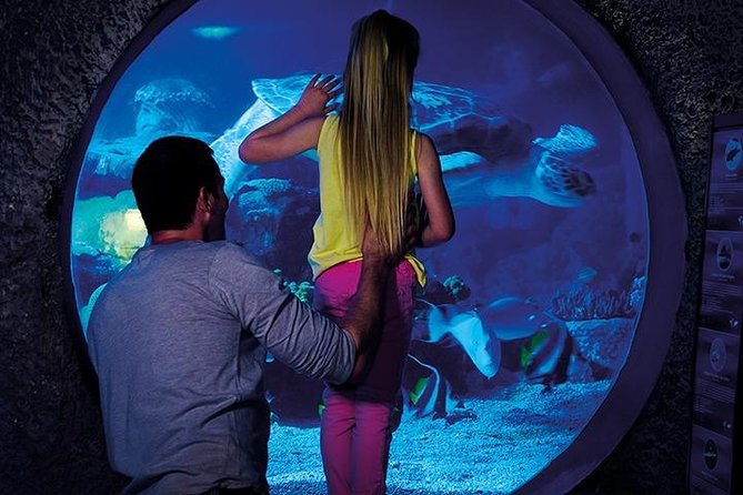 SEA LIFE Manchester Admission Ticket - Starting with Turtle Beach and a 3D journey