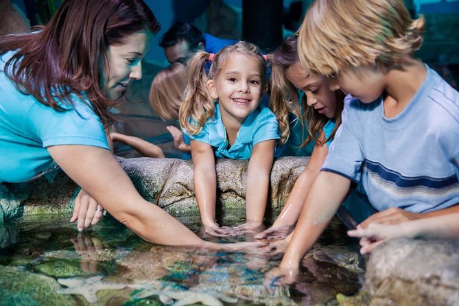 SEA LIFE Manchester Admission Ticket - The tropical ocean tank