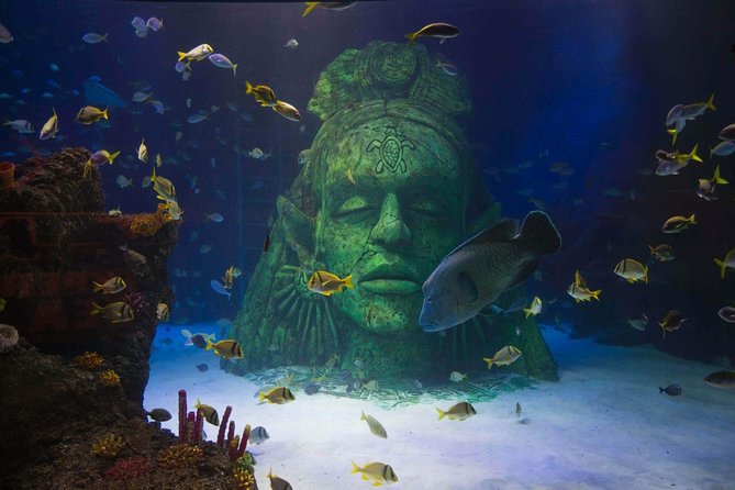 SEA LIFE Manchester Admission Ticket - Stingray Bay and the rescued leopard shark