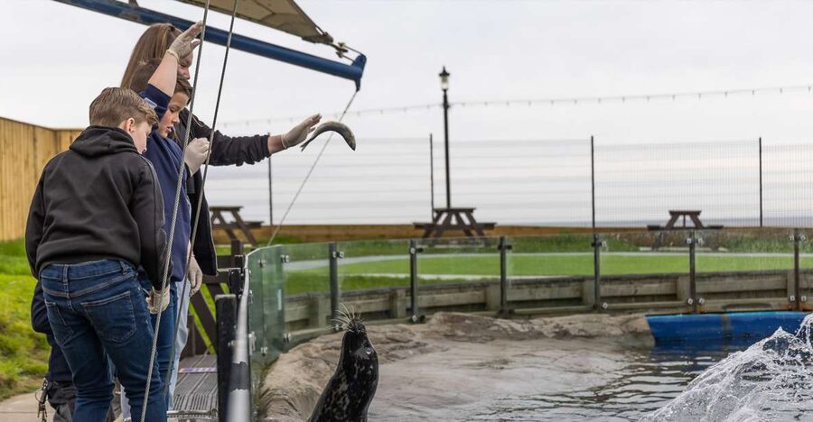 Sea Life Scarborough - Key points to know before you go
