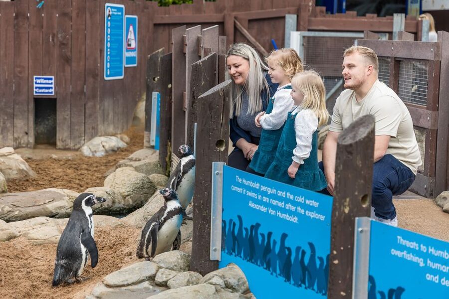 Sea Life Scarborough - How much value do you get for $26?