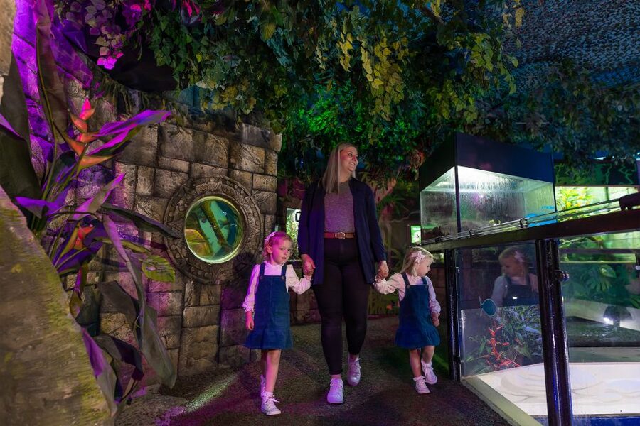Sea Life Scarborough - The Seal Hospital tells a local rescue story