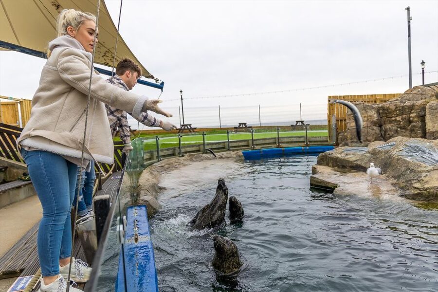 Sea Life Scarborough - Rockpools make the visit hands-on