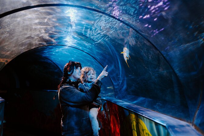 SEA LIFE Weymouth Admission Ticket - Key points to know before you go