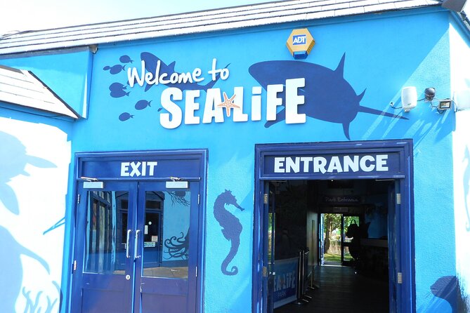 SEA LIFE Weymouth Admission Ticket - What a visit to SEA LIFE Weymouth feels like