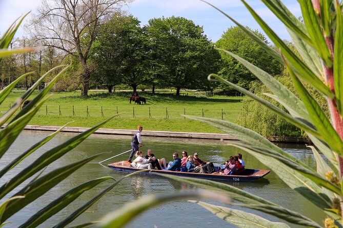 Shared Chauffeured Punt Tour - Trinity College, the Wren Library, and Trinity Bridge