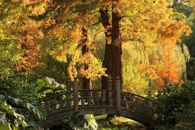 Skip the Line: House and Garden Admission Ticket - Why Winterbourne feels different from a standard Birmingham attraction