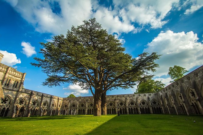 Southampton: Post-Cruise Tour to London via Salisbury, Stonehenge and Windsor - Who should book this excursion?