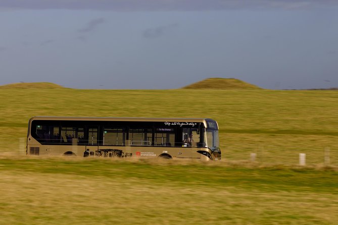 Stonehenge Shuttle Bus from London with Optional Fish & Chips - What the $80.89 price really buys