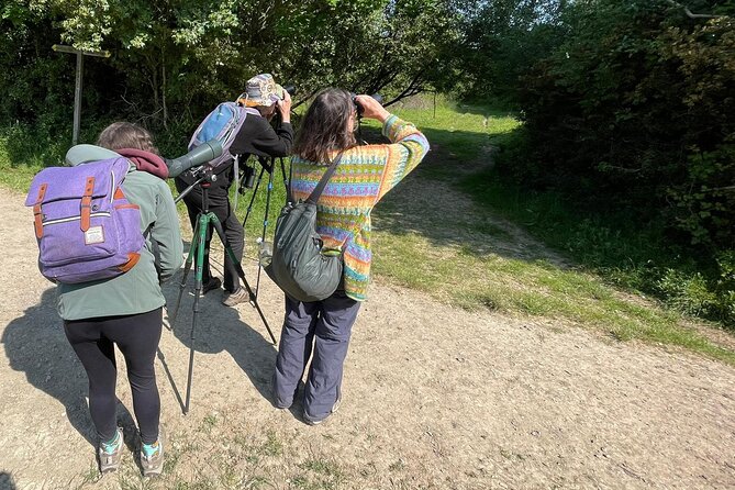 Sussex Birdwatching Private Guided Day Tour - Timing, pickup, and practical value