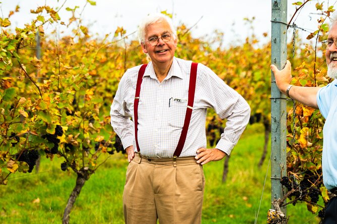 Sussex Vineyard & Winery Bus Tour on Iconic Vintage London Bus - A Sussex picnic with quiche, bread, chutney, and cake