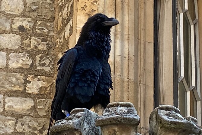The Tower of London - Small Group Tour with a Local Expert - Is the small group worth the premium price?