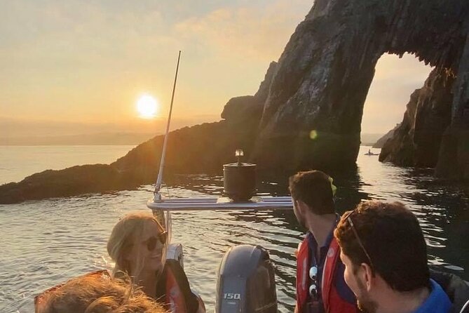 Torquay Coastal RIB Seafari - The real prize: dolphins and porpoises
