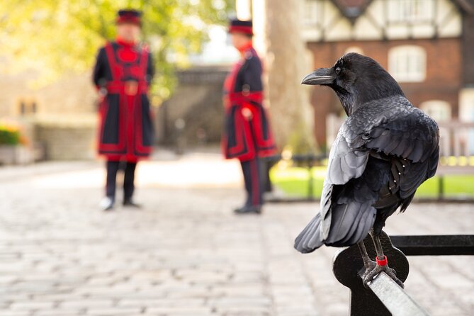 Tower of London: Crown Jewels & Beefeater Opening Ceremony - What the guide adds to a self-guided Tower visit
