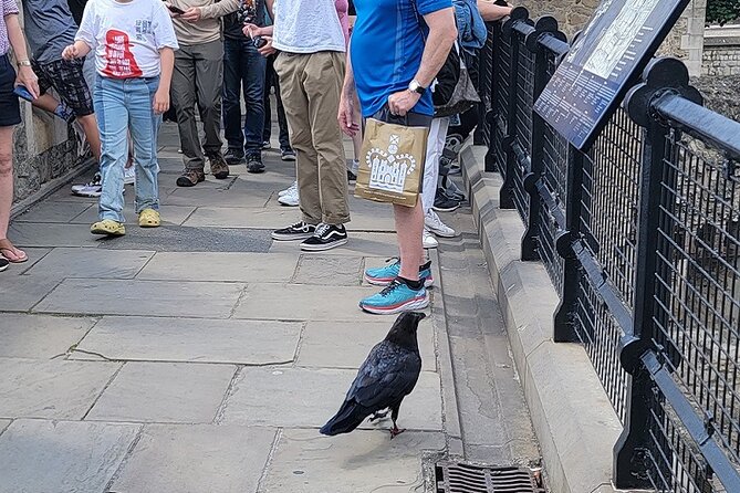 Tower of London: Guided Tour with Thames River Cruise - What the guide adds to the experience