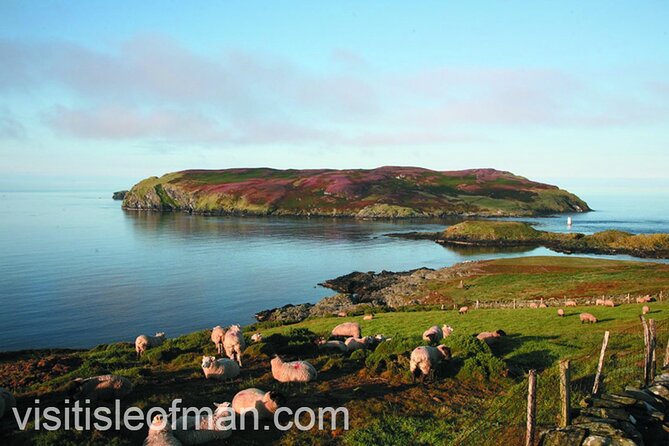 Viking Tour of the Isle of Man - Half Day - Private Tour - Price, comfort, and the value for a small group