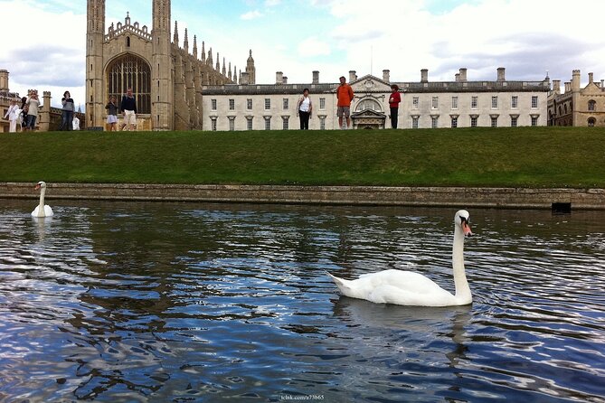 Welcome to Cambridge: Private Tour including King's College Chapel - Inside Kings College Chapel