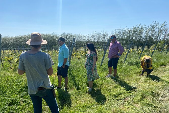 Wine & Cheese in the Somerset Valleys - with Michelin-star lunch! - Who should book this day out?