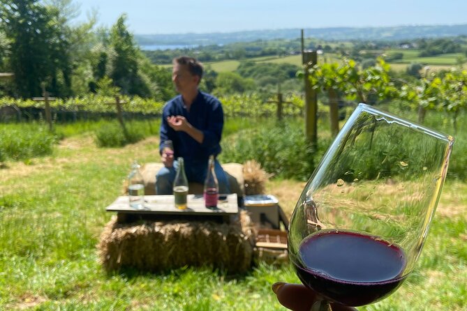 Wine & Cheese in the Somerset Valleys - with Michelin-star lunch! - Limeburn Hill at Chew Magna