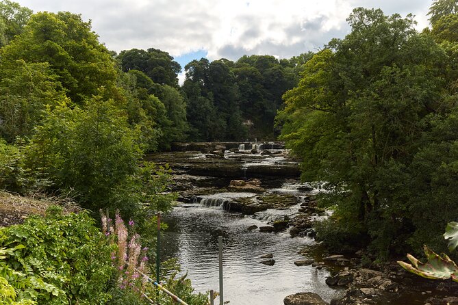Yorkshire Dales Tour from York - Wensleydale Creamery adds a taste of the region