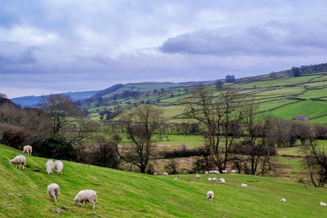 Yorkshire Dales Tour from York - Four hours on the road show you the real Dales