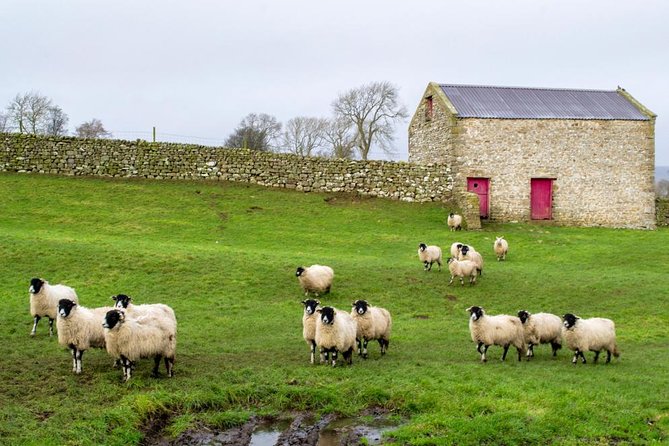 Yorkshire Dales Tour from York - Bolton Castle sets the tone